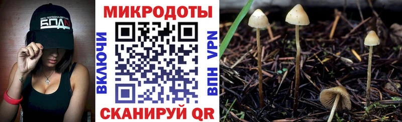 наркошоп  Кудымкар  Галлюциногенные грибы Magic Shrooms 