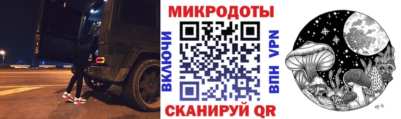 Галлюциногенные грибы Psilocybe Кудымкар